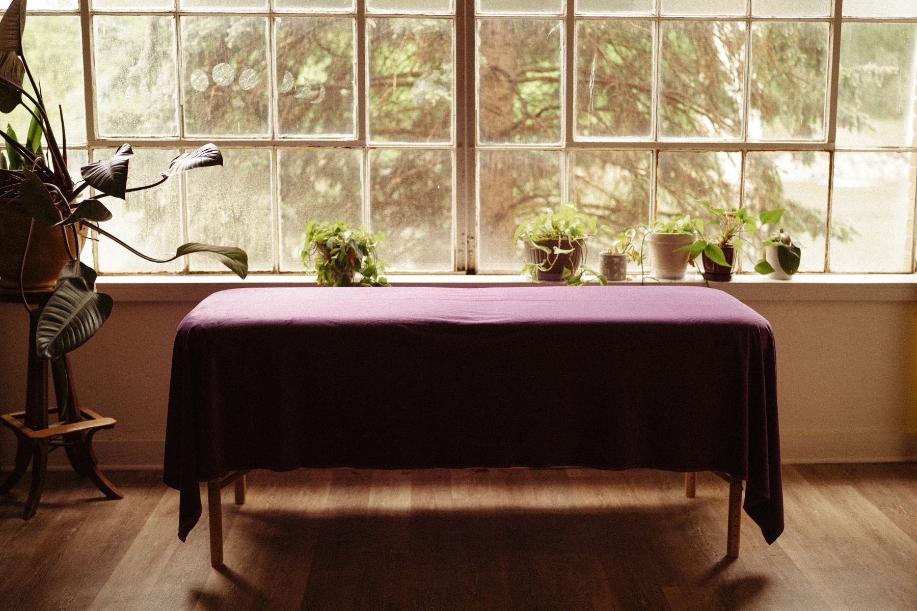 Calm wellness treatment room with a prepared massage-style table, purple blanket, plants, and soft natural light in Boulder, Colorado.
